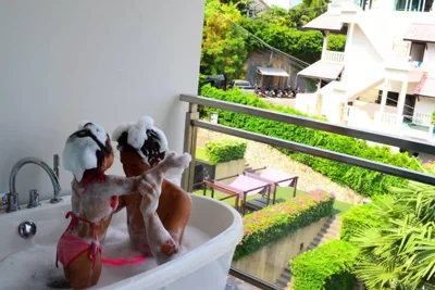 Sugar Palm Grand Hillside – Foto’s 8